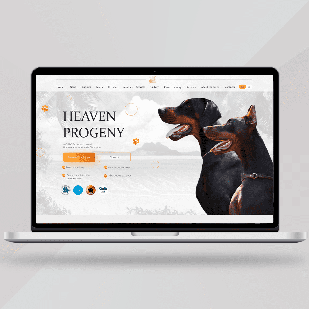 Сайт для розплідника собак “Heaven Progeny” - Креативне діджитал агентство FETISH